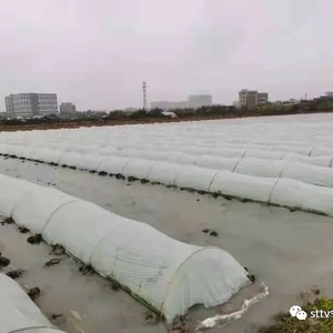 潮南落实防寒措施  确保春耕不误农时