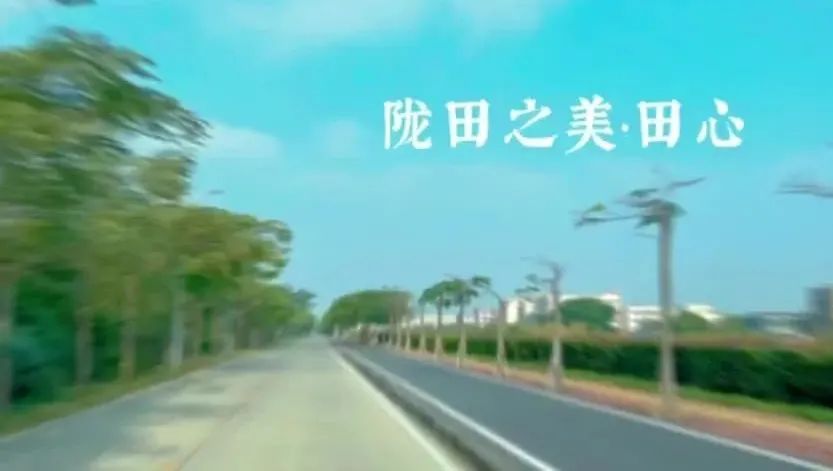 mpvideo