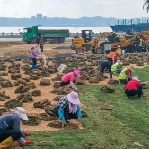 春节前  华侨公园将与市民“重逢”