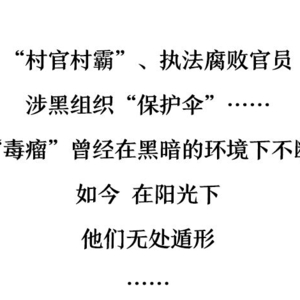 【扫黑除恶】打击黑恶势力有力度!这些涉黑案入选广东省扫黑除恶十大典型案例!