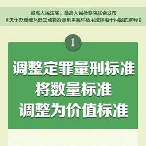 【海报】严惩破坏野生动物资源犯罪,“两高”新规要了解!