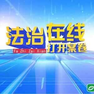 打开案卷 | 轮胎脱落之祸