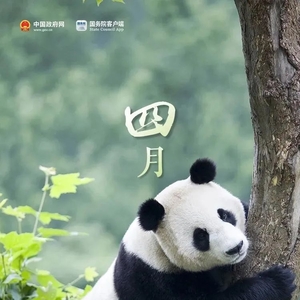 五一连休5天,还有……