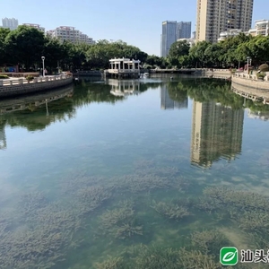 汕头:消除黑臭水体 扮靓人居环境