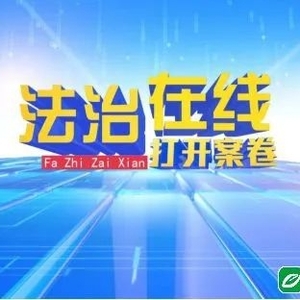 打开案卷 | 众筹之后