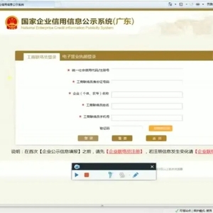 年报填录演示