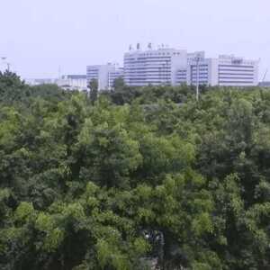 汕头官宣“入夏”  但冷空气又来刷存在感