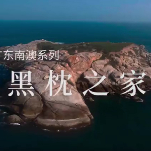 央视纪录片《美丽中国自然:南澳系列》第四集,黑枕之家