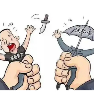 维护国家安全,反有组织犯罪法来了!亮点看这里!