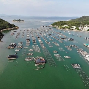 南澳县:持续深化推进“海上党建”新模式,凝心聚力打通服务渔民的“最后一公里”