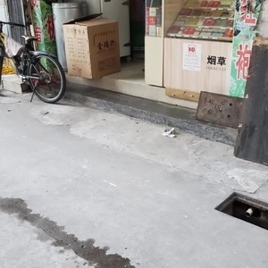 偷盗“沟井盖”   两人落法网