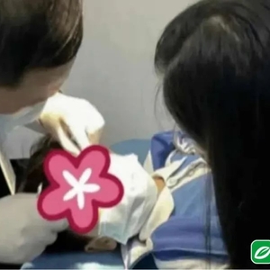 【本埠】汕头国际眼科中心:眼睛不慎溅入“502”胶水 该如何处置?