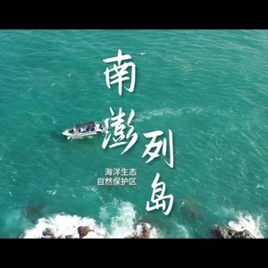 世界海豚日,一起来看看汕头的这些好朋友!