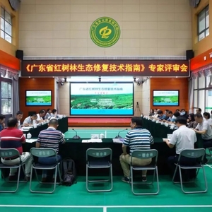 广东印发红树林生态修复技术指南