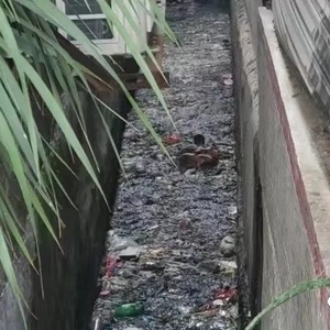 垃圾已清理  水沟变整洁