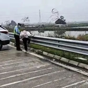 小女孩欲闯高速公路  幸交警与值班员制止