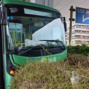 路面现“油污带”  公交车冲上绿化带