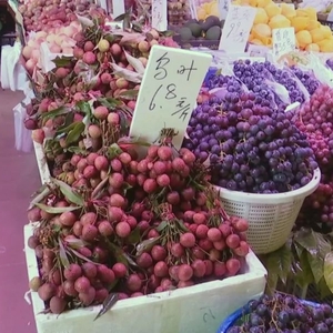 荔枝虽鲜美  食用需适量