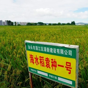 巨变!濠江乡村好惊艳