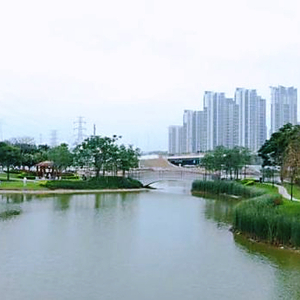 汕头荣获“中国美丽城市典范”