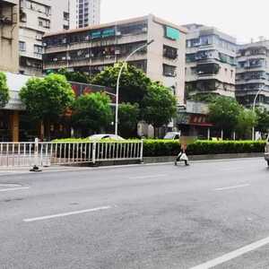 隔离带存“缝隙”   行人横穿太危险