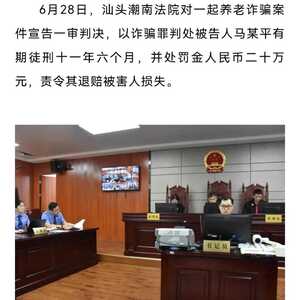 汕头市潮南区人民法院宣判一起养老诈骗案件