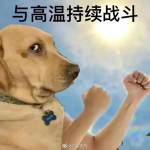 今日大暑!热吗?热啊~这篇推文,有点烫!