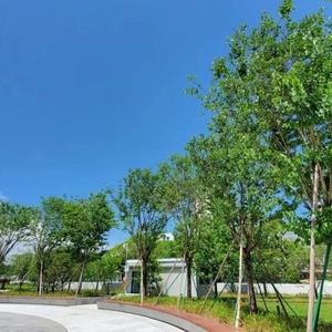 人民广场“华丽变身”  “城市会客厅”功能升级