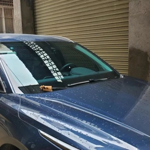 车辆停路边   夜间竟遭人损坏