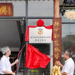 今天,区政协农业界委员工作室揭牌成立!搭建团结联谊平台,助力乡村振兴发展