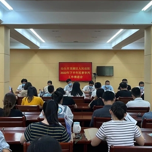龙湖法院召开民事审判工作推进会