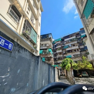 阳台下“长”马蜂窝  住户心忧盼摘除