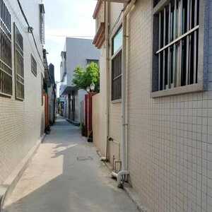 网友:这里有建筑废料占道堆积!文明濠江红黑榜第27期→