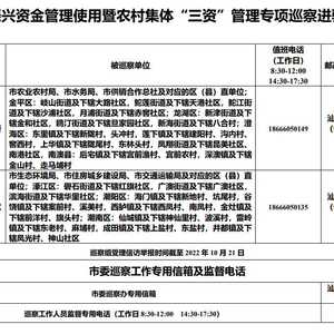十二届汕头市委专项巡察公告