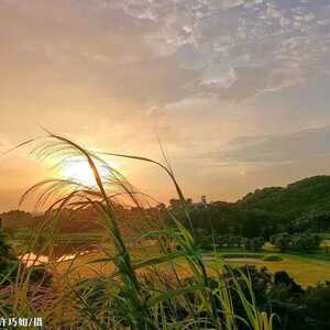 台风“轩岚诺”今天生成!对我们会有影响吗?汕头未来一周天气…