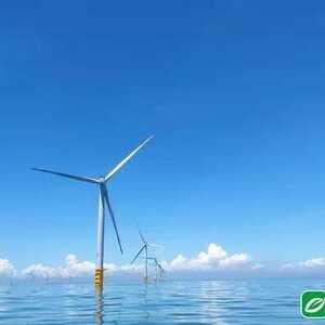 风能化“绿电” !大唐汕头新能源有限公司为汕头海上风电资源开发注入强劲动力