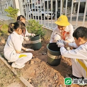 探索汕头特色劳动教育新模式,劳动课成我市中小学独立课程!