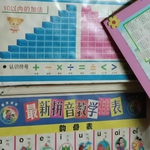 各界伸援手  11岁脑瘤女孩获救助