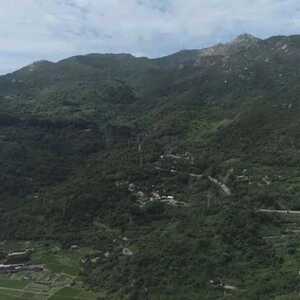 南澳野果名“多尼” ,秋日山上一美味!