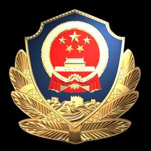 百日行动|警灯闪烁,尽锐出战! 龙湖公安中秋守护“不打烊”