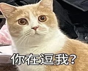 【天气】升温+干燥!汕头的天气又冷又热……