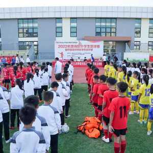 绿茵场上燃激情,金秋时节圆梦想 ——2022年澄海区小学生足球赛暨校园足球特色学校足球赛圆满落幕
