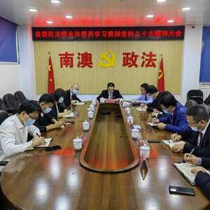 南澳县召开县委政法委全体委员(扩大)会议传达学习党的二十大精神