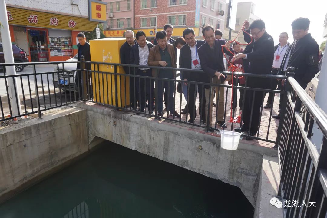 龙湖区人大常委会组织市人大代表视察我区黑臭水体整治及雨污分流工作