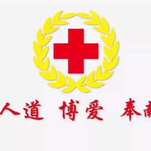 喜讯!区红十字会林逸丹同志斩获省级赛事大奖