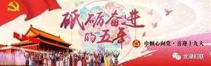 龙湖区妇联举办各界妇女代表学习贯彻党的十九大精神座谈会