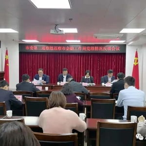 市委第二巡察组向汕头市金融工作局党组反馈巡察情况