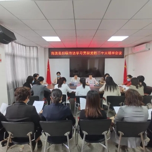 南澳县妇联召开传达学习贯彻党的二十大精神会议