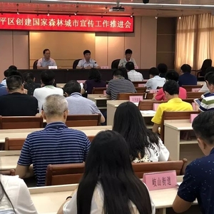 金平区召开创森宣传工作推进会