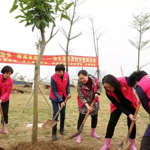 汕头市妇联举行庆“三八” 各界妇女植树活动